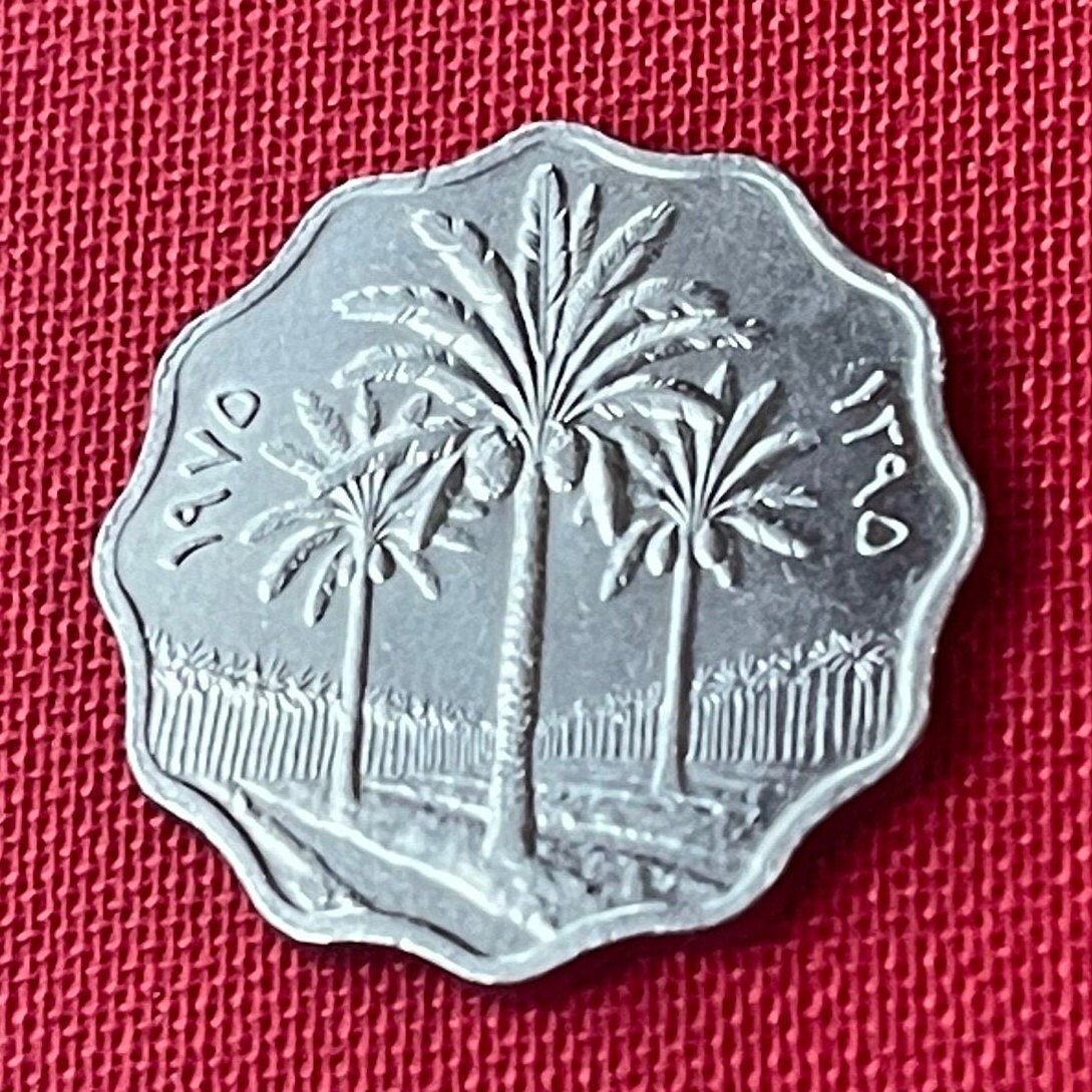 Date Palm Trees 5 Fils Iraq Authentic Coin Money for Jewelry and Craft Making (Scalloped)