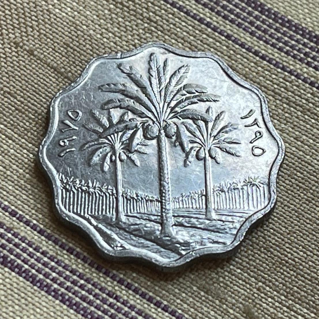 Date Palm Trees 5 Fils Iraq Authentic Coin Money for Jewelry and Craft Making (Scalloped)