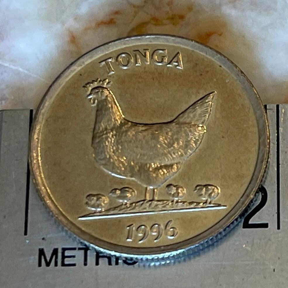 Hen and Chicks & Coconuts 5 Seniti Tonga Authentic Coin Money for Jewelry and Craft Making