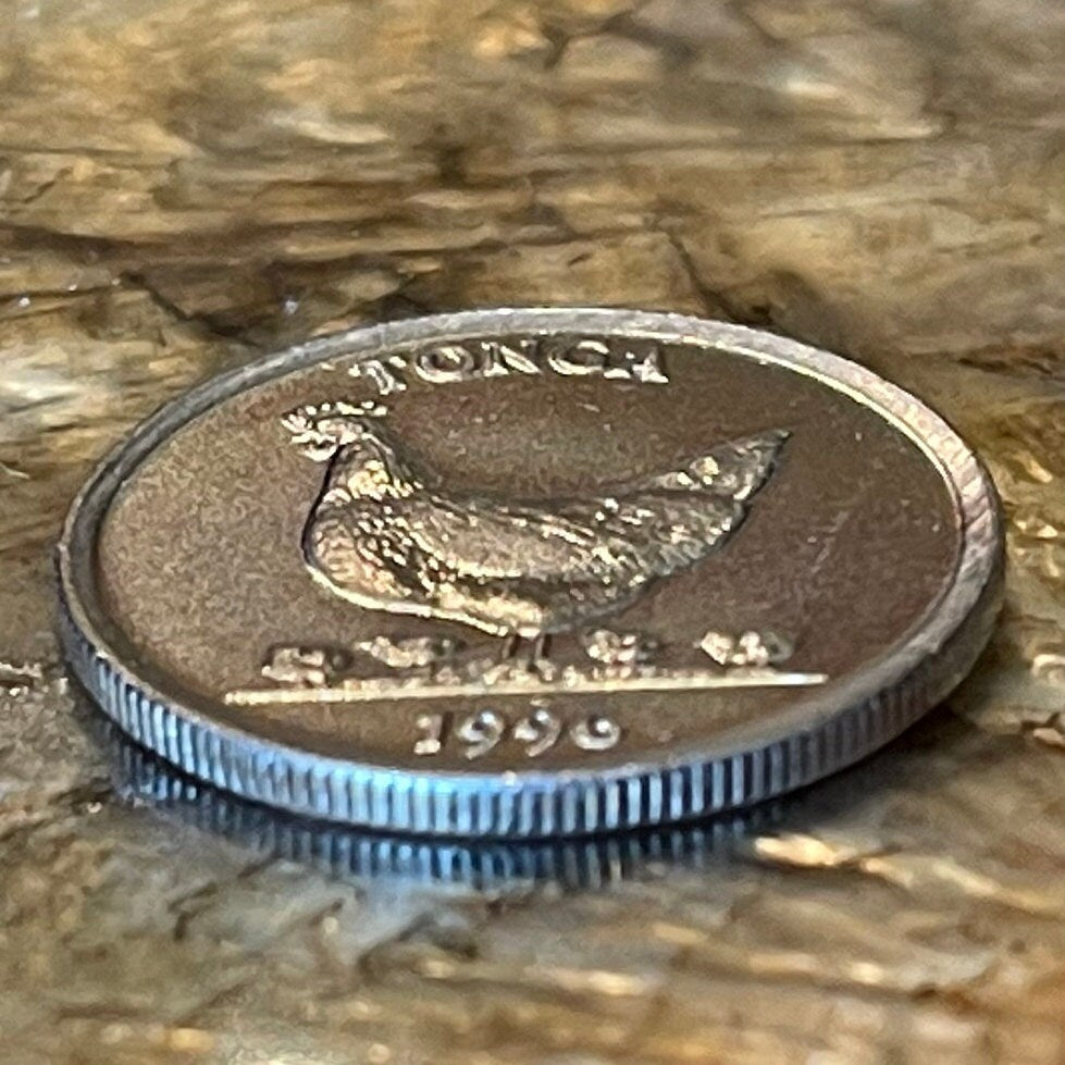 Hen and Chicks & Coconuts 5 Seniti Tonga Authentic Coin Money for Jewelry and Craft Making