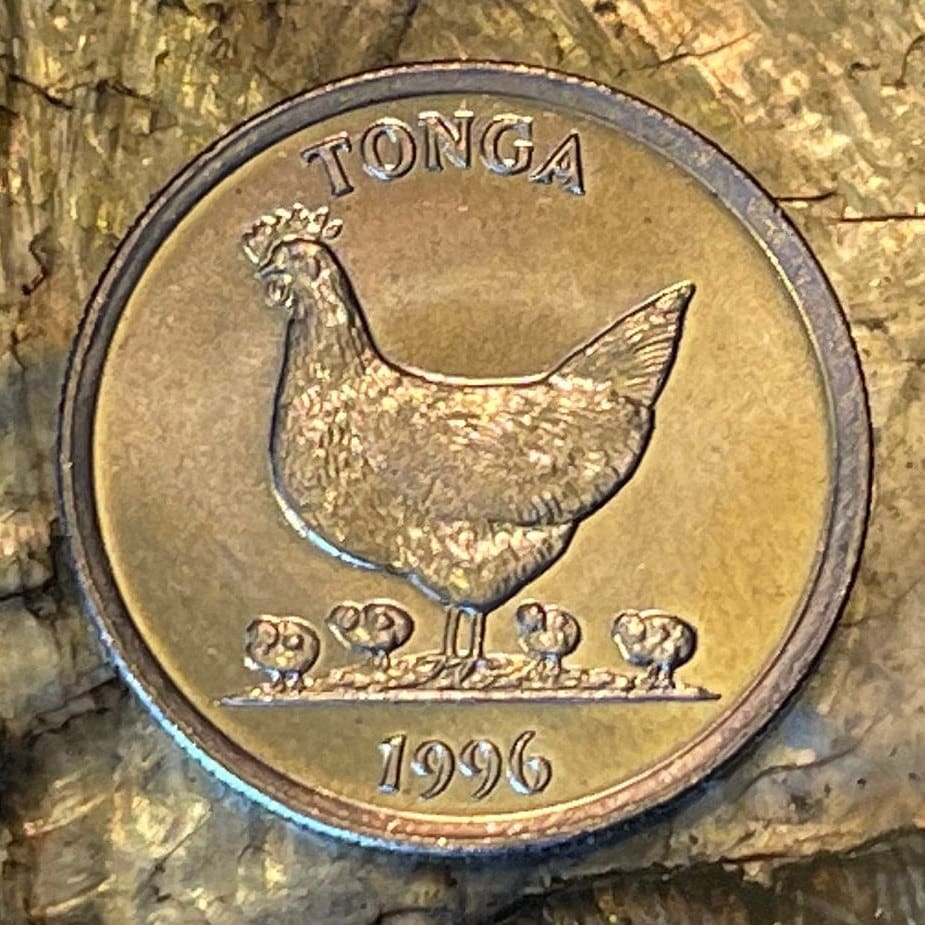 Hen and Chicks & Coconuts 5 Seniti Tonga Authentic Coin Money for Jewelry and Craft Making