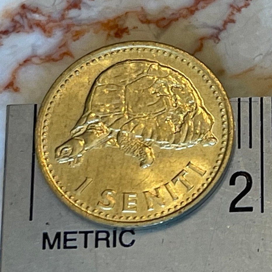 King Malila the Giant Tortoise & King Taufa'ahau Tupou IV 1 Seniti Tonga Authentic Coin Charm for Jewelry and Craft Making