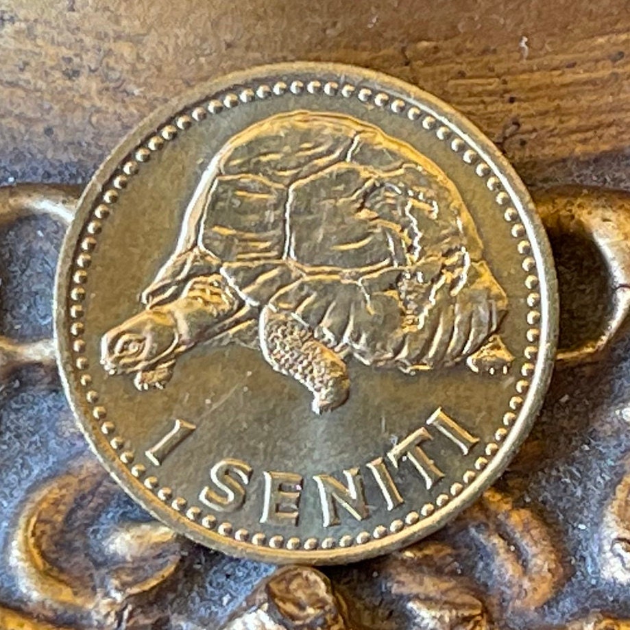 King Malila the Giant Tortoise & King Taufa'ahau Tupou IV 1 Seniti Tonga Authentic Coin Charm for Jewelry and Craft Making