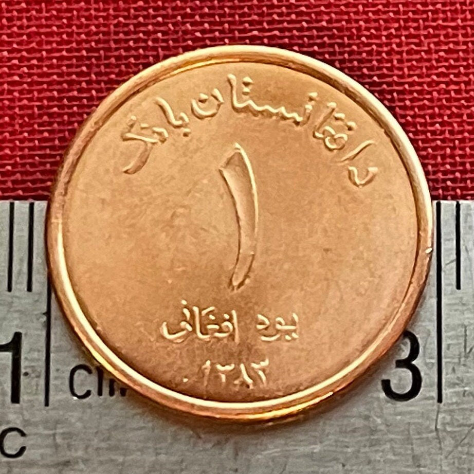 Mosque 1 Afghani Afghanistan Authentic Coin Money for Jewelry and Craft Making