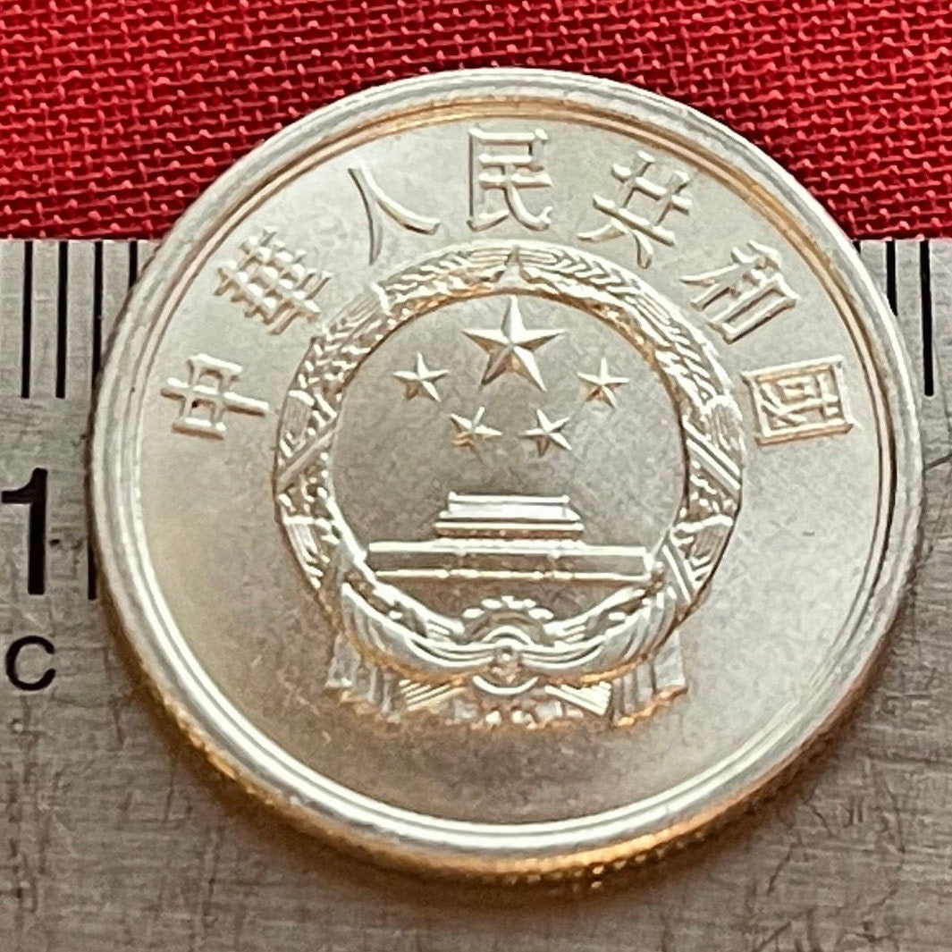 Tiananmen Gate 5 Fen China Authentic Coin Money for Jewelry and Craft Making (Gate of Heavenly Peace)