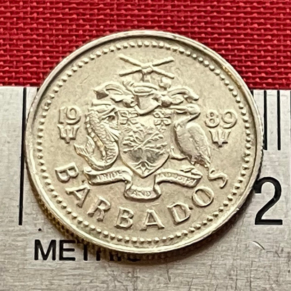 Laughing Gull 10 Cents Barbados Authentic Coin Money for Jewelry and Craft Making (Seagull))