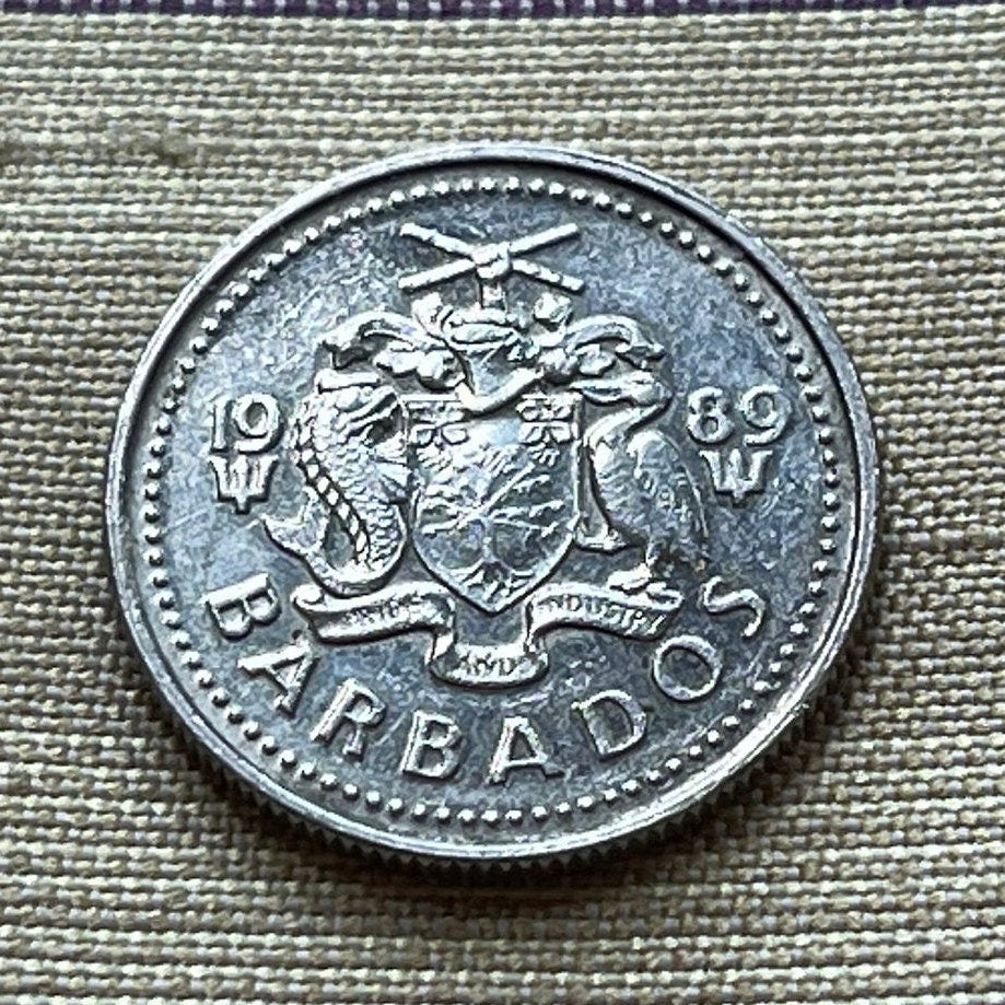 Laughing Gull 10 Cents Barbados Authentic Coin Money for Jewelry and Craft Making (Seagull))