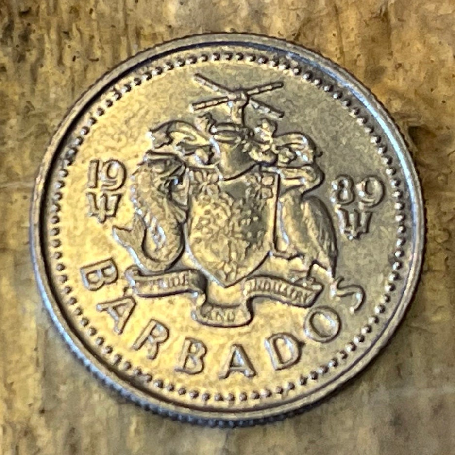 Laughing Gull 10 Cents Barbados Authentic Coin Money for Jewelry and Craft Making (Seagull))