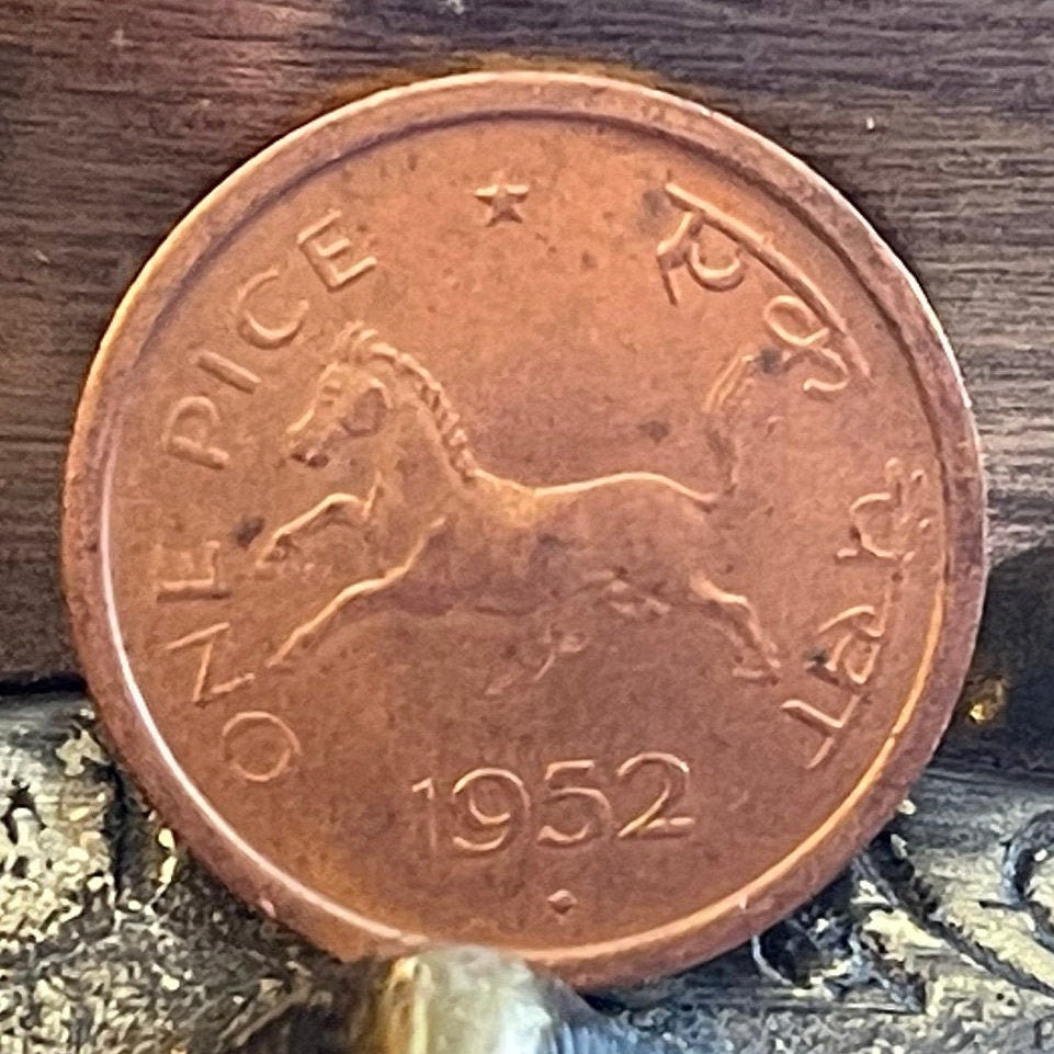 Manipuri Pony & Ashoka Capitol 1 Pice India Authentic Coin Money for Jewelry and Craft Making (Horse) (Polo Pony)