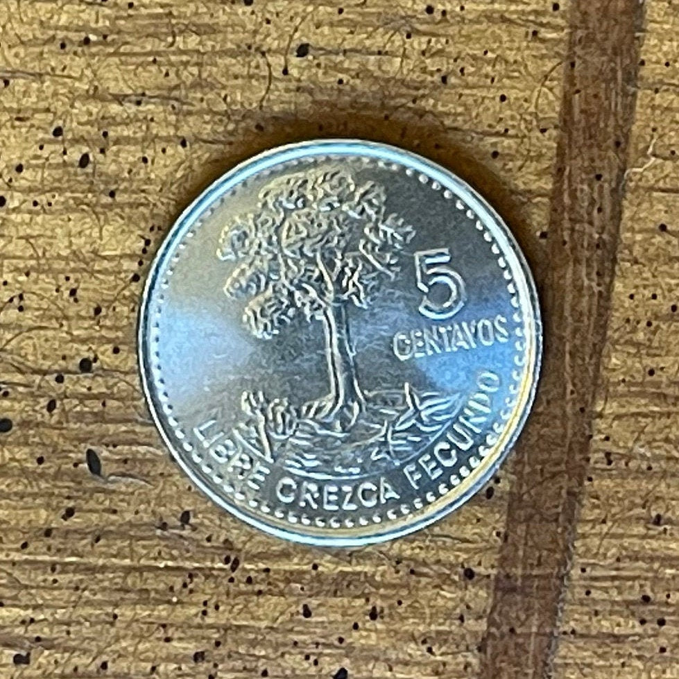 Kapok Tree 5 Centavos Guatemala Authentic Coin Money for Jewelry and Craft Making