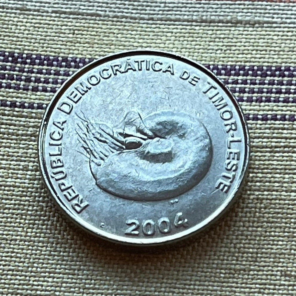 Spiral Nautilus 1 Centavo Timor Authentic Coin Money for Jewelry and Craft Making