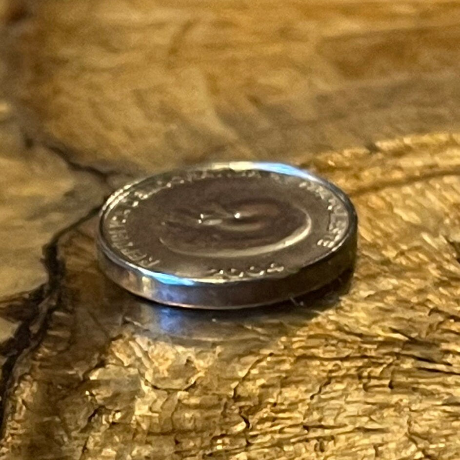 Spiral Nautilus 1 Centavo Timor Authentic Coin Money for Jewelry and Craft Making