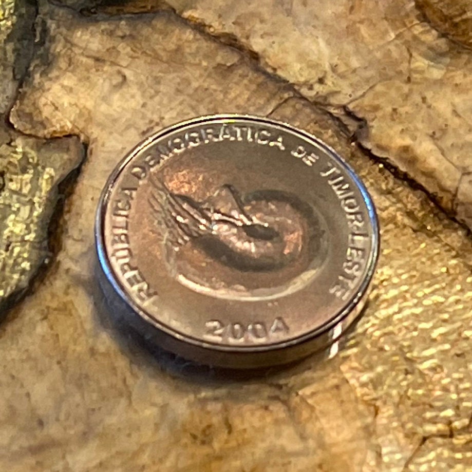 Spiral Nautilus 1 Centavo Timor Authentic Coin Money for Jewelry and Craft Making