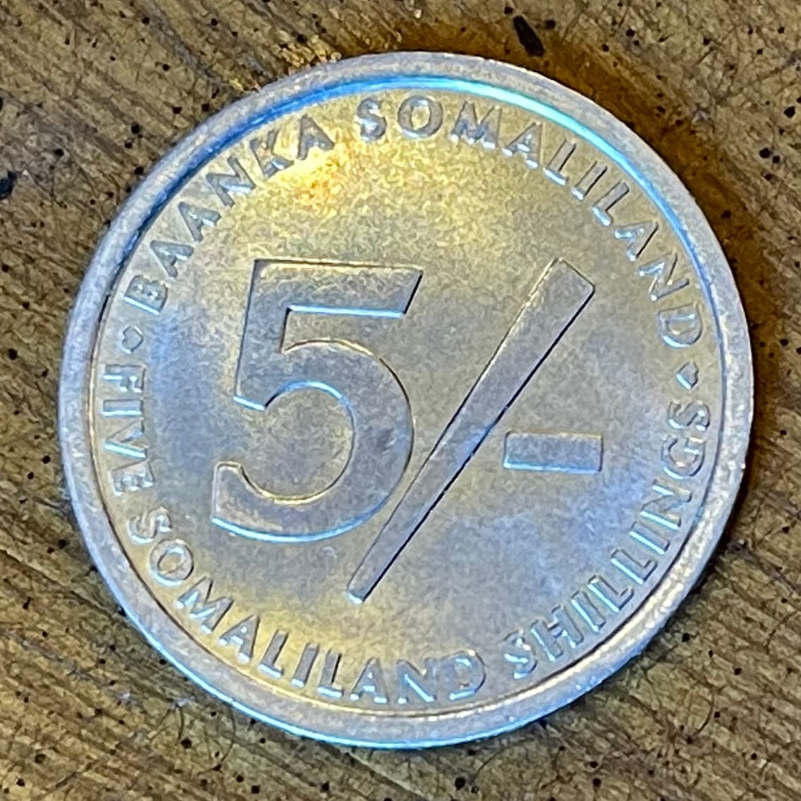 Elephant with Baby 5 Shillings Somaliland Authentic Coin Money for Jewelry and Craft Making