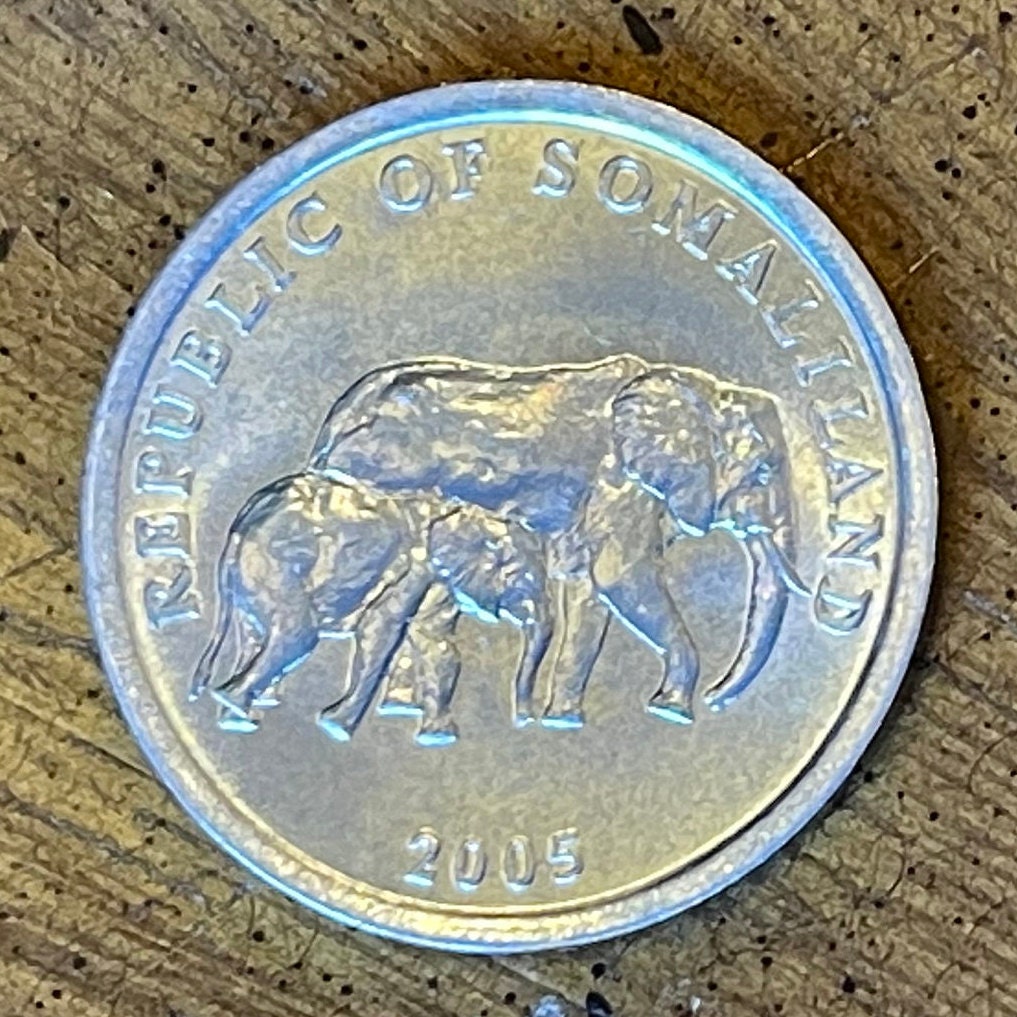 Elephant with Baby 5 Shillings Somaliland Authentic Coin Money for Jewelry and Craft Making