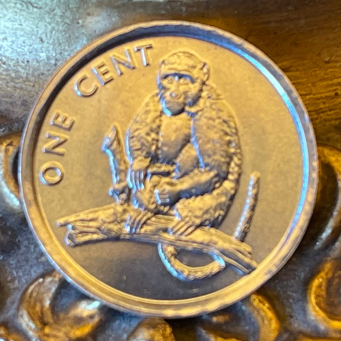 Rhesus Macaque 1 Cent Cook Islands Authentic Coin Money for Jewelry and Craft Making (Monkey)