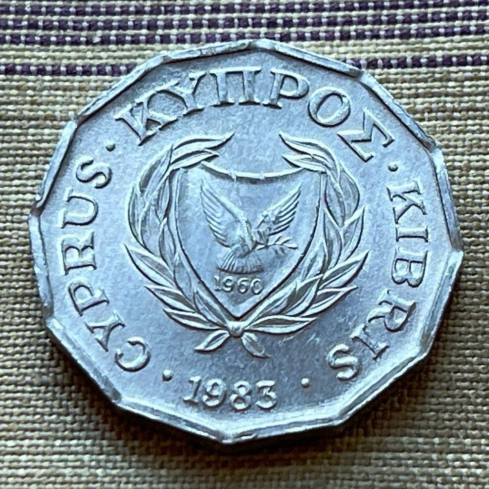 Cyclamen & Dove with Olive 1/2 Cent Cyprus Authentic Coin Money for Jewelry and Craft Making (Dodecahedron) (1983)