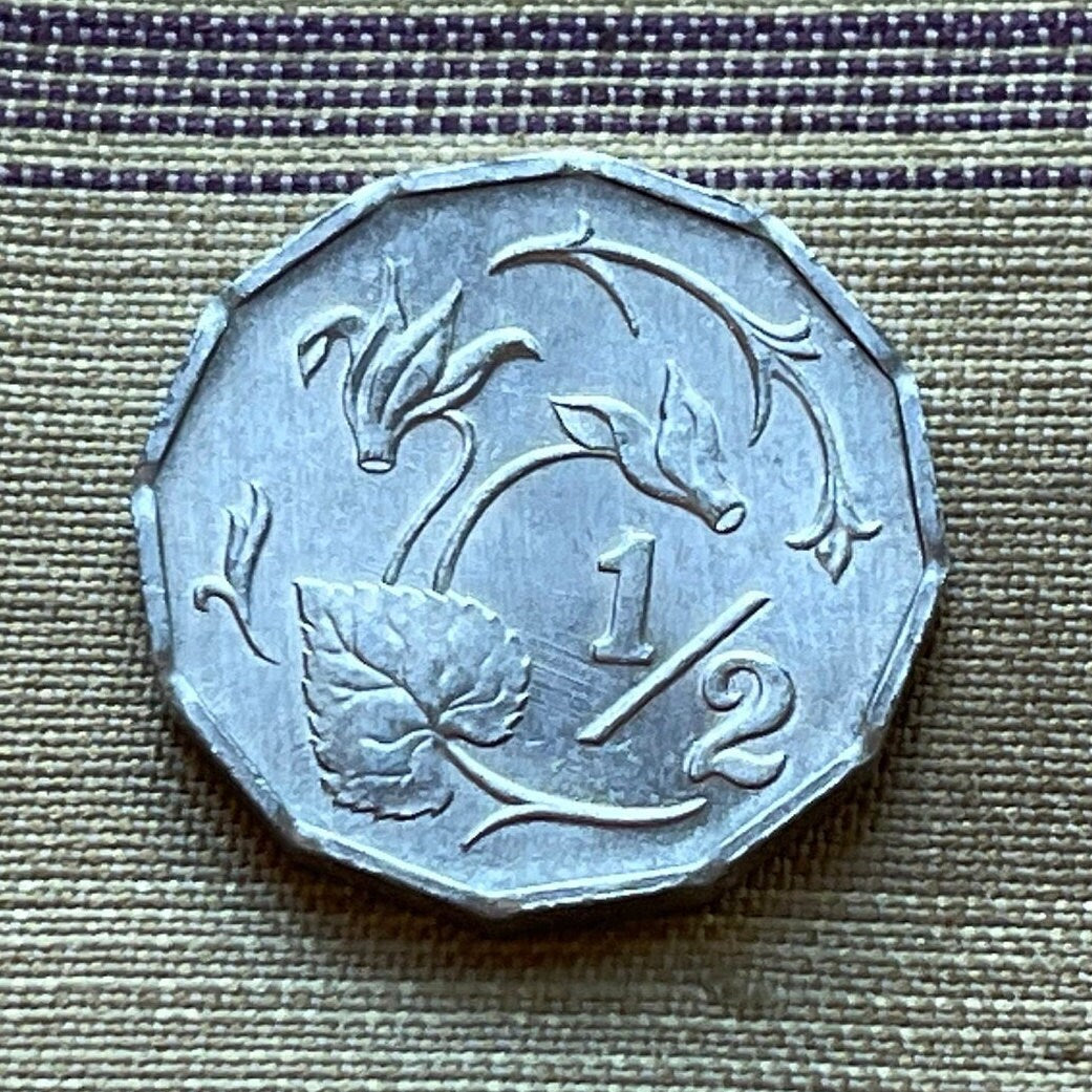 Cyclamen & Dove with Olive 1/2 Cent Cyprus Authentic Coin Money for Jewelry and Craft Making (Dodecahedron) (1983)