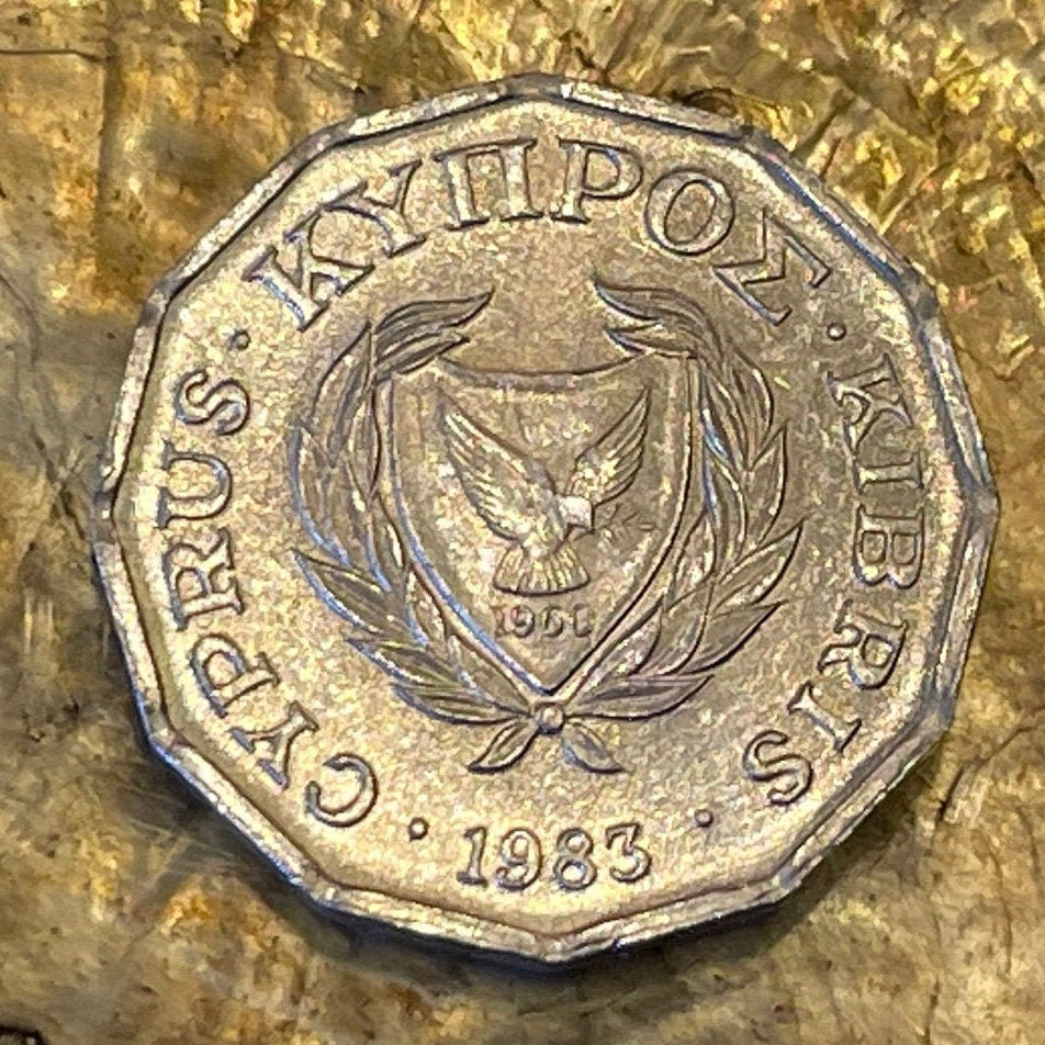 Cyclamen & Dove with Olive 1/2 Cent Cyprus Authentic Coin Money for Jewelry and Craft Making (Dodecahedron) (1983)