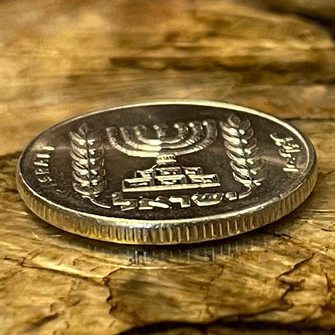 Menorah and Olive Branches 1/2 Lira Israel Authentic Coin Money for Jewelry and Craft Making