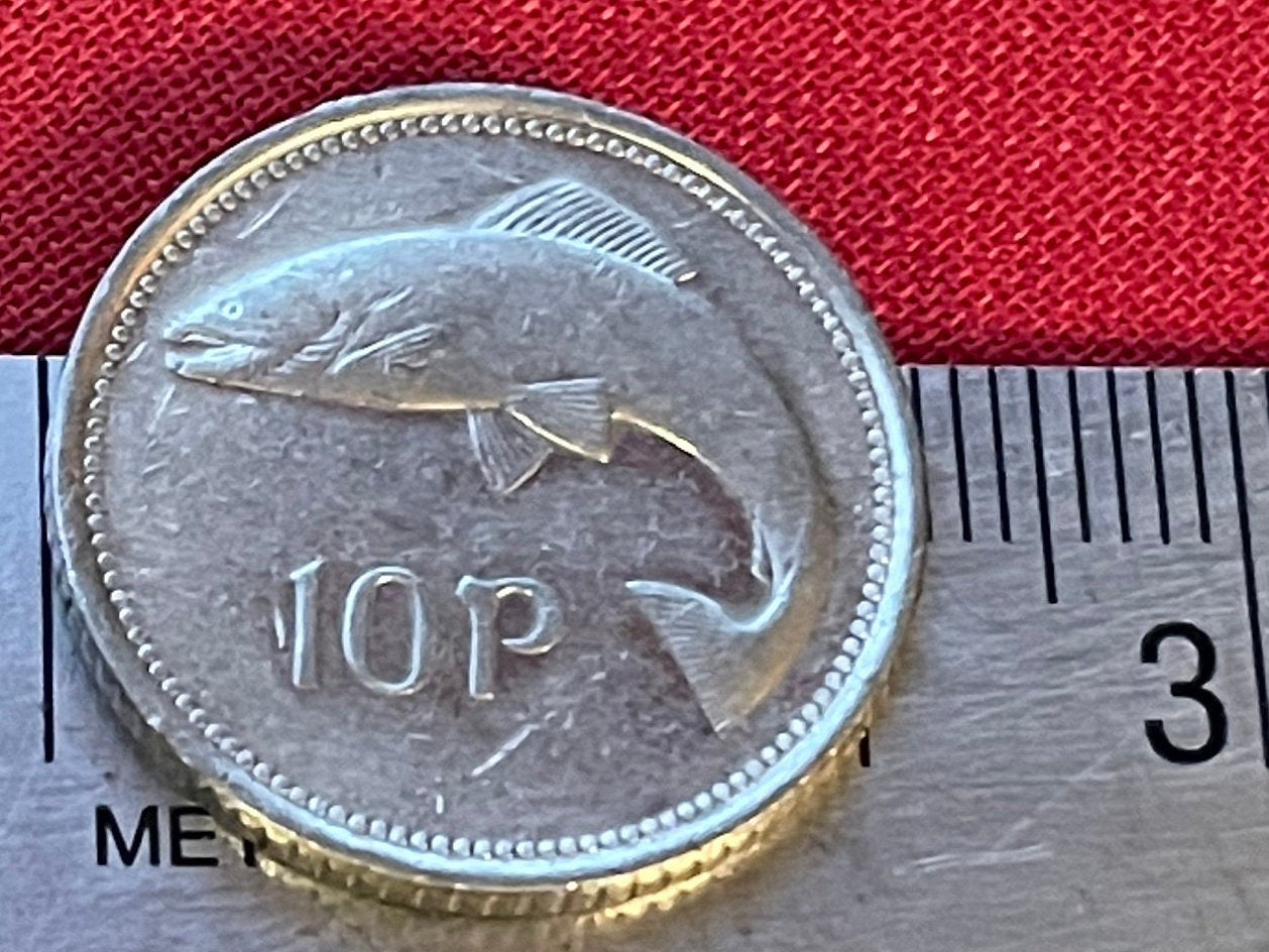 Atlantic Salmon & Harp 10 Pence Ireland Authentic Coin Money for Jewelry and Craft Making