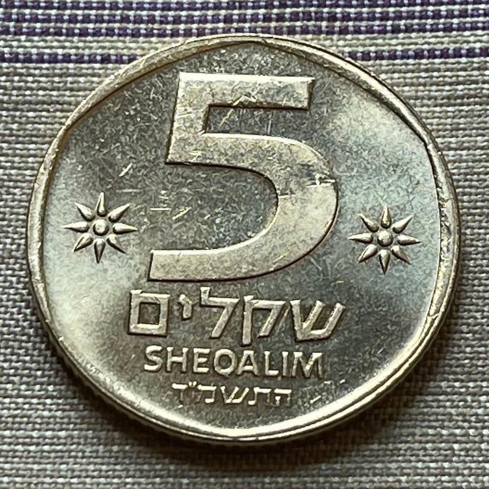 Cornucopia 5 Sheqalim Israel Authentic Coin Money for Jewelry and Craft Making (Double Cornucopia)