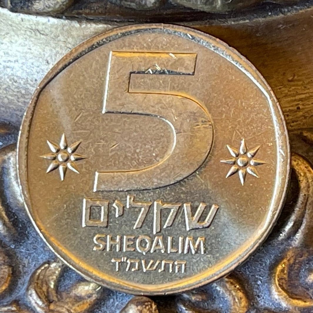 Cornucopia 5 Sheqalim Israel Authentic Coin Money for Jewelry and Craft Making (Double Cornucopia)