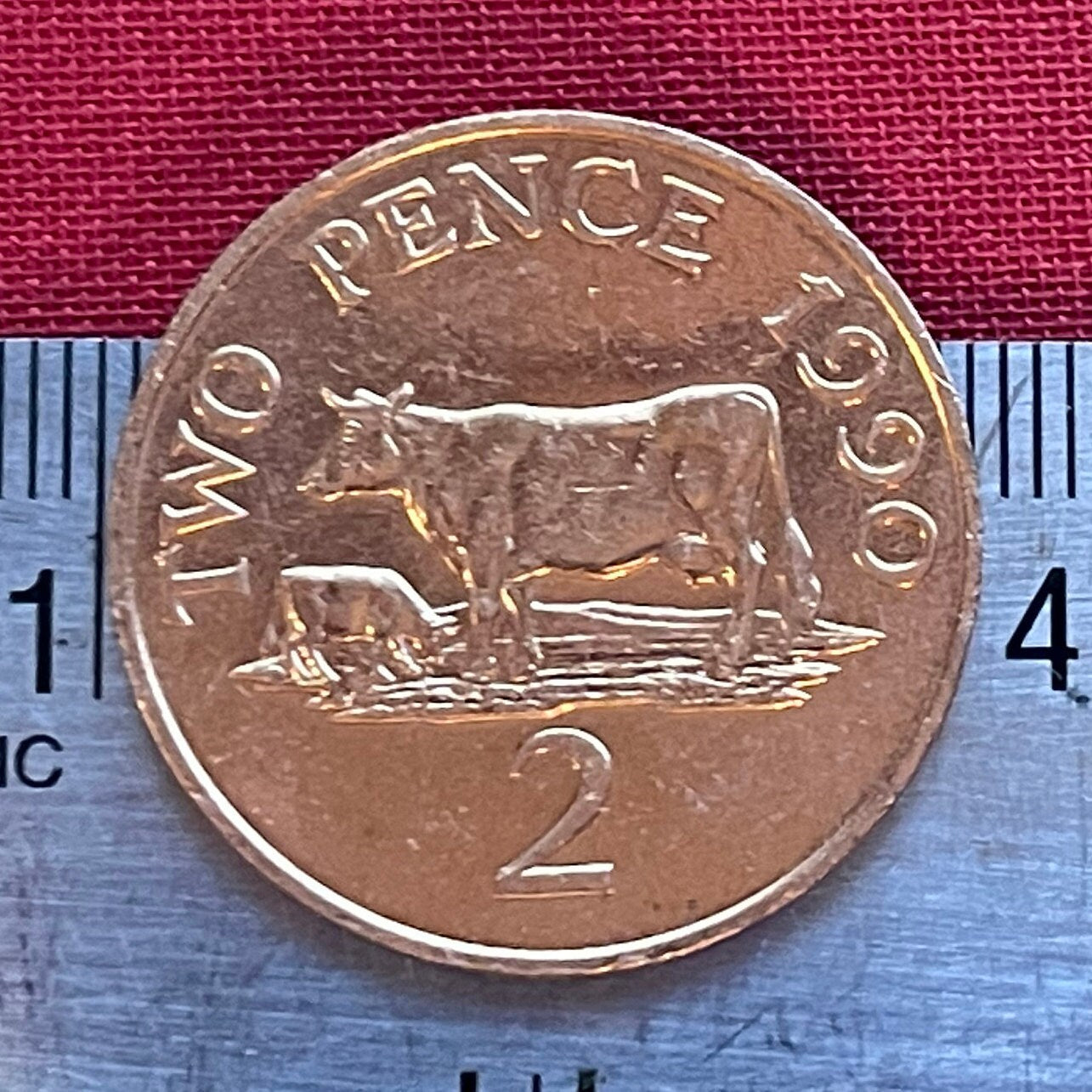 Guernsey Cows 2 Pence Bailiwick of Guernsey Authentic Coin Money for Jewelry and Craft Making