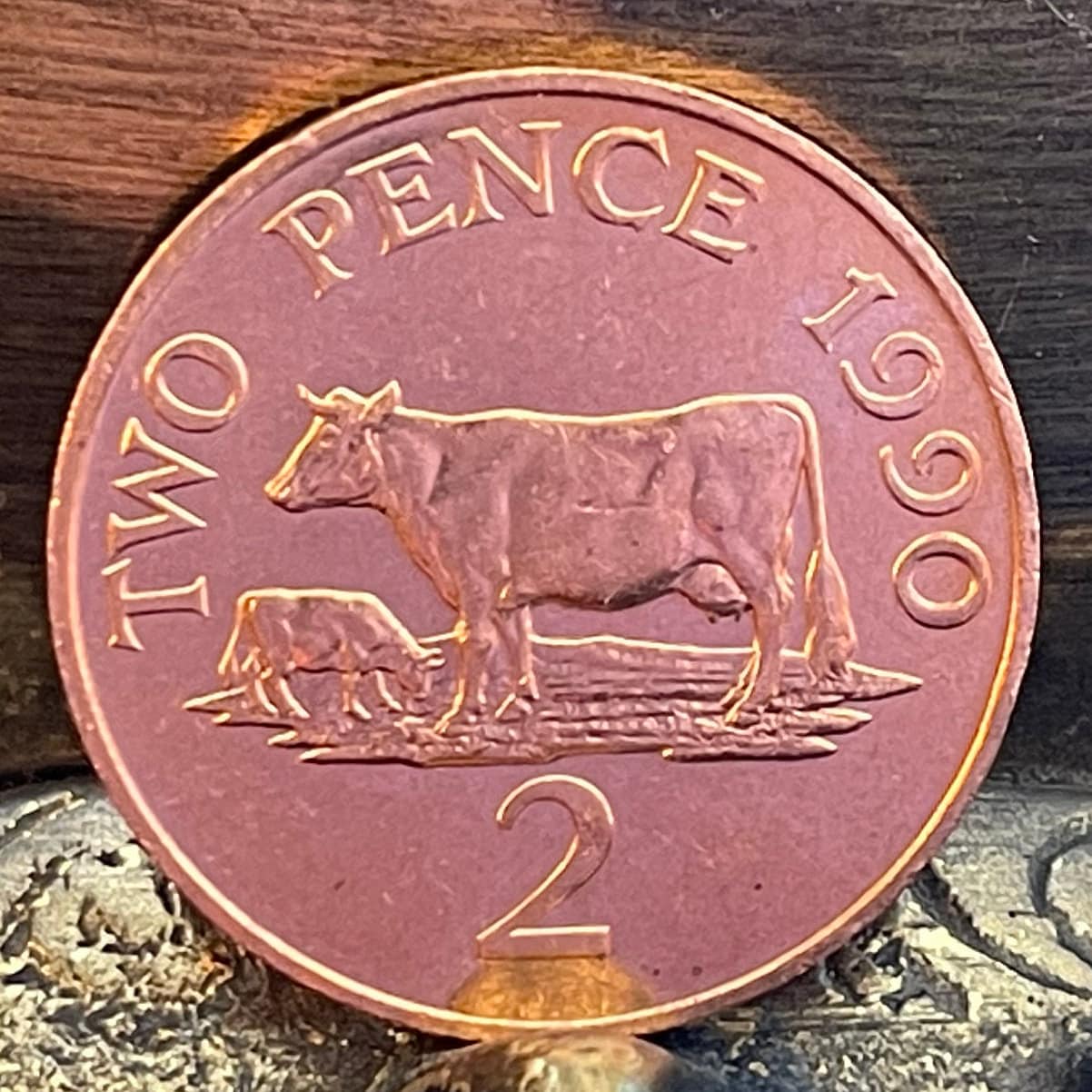 Guernsey Cows 2 Pence Bailiwick of Guernsey Authentic Coin Money for Jewelry and Craft Making
