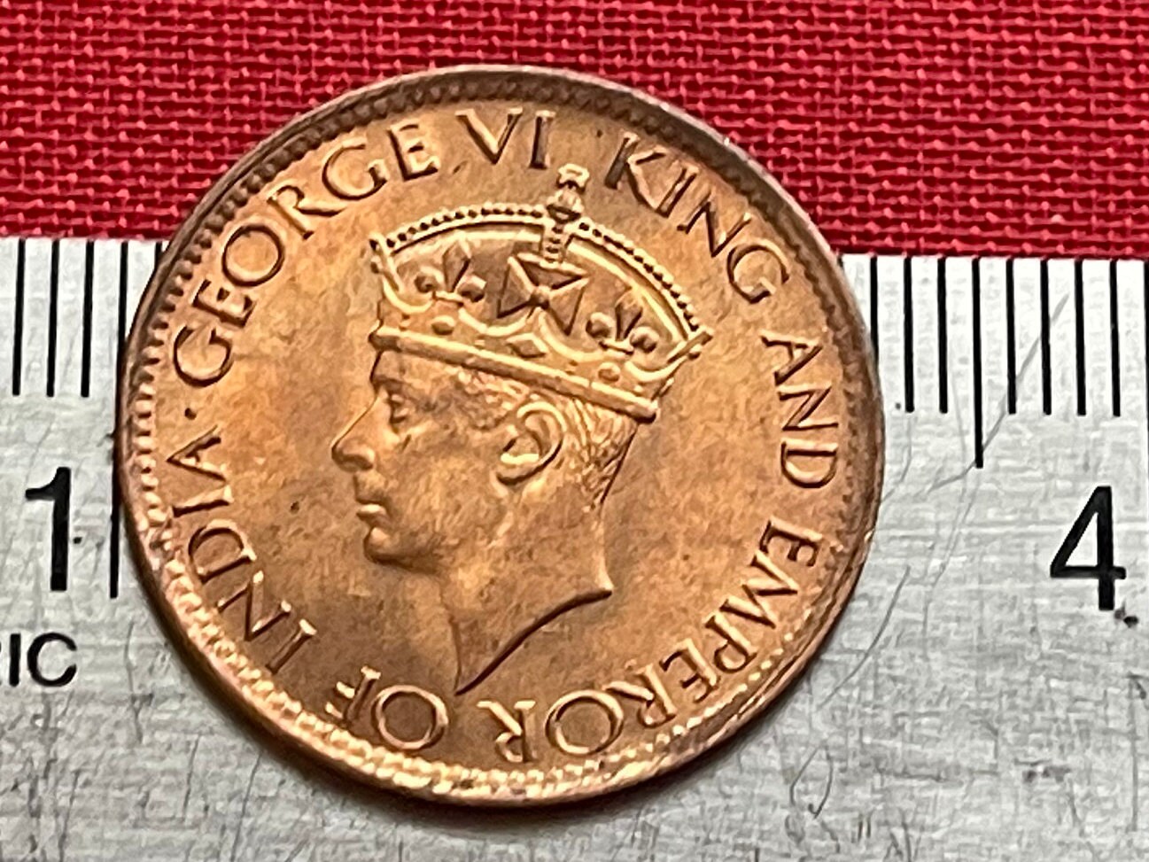 Cabbage Palm & King George VI 1 Cent Ceylon Authentic Coin Money for Jewelry and Craft Making (Sri Lanka) (Palmetto) (Emperor of India)