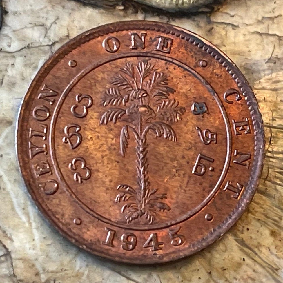 Cabbage Palm & King George VI 1 Cent Ceylon Authentic Coin Money for Jewelry and Craft Making (Sri Lanka) (Palmetto) (Emperor of India)