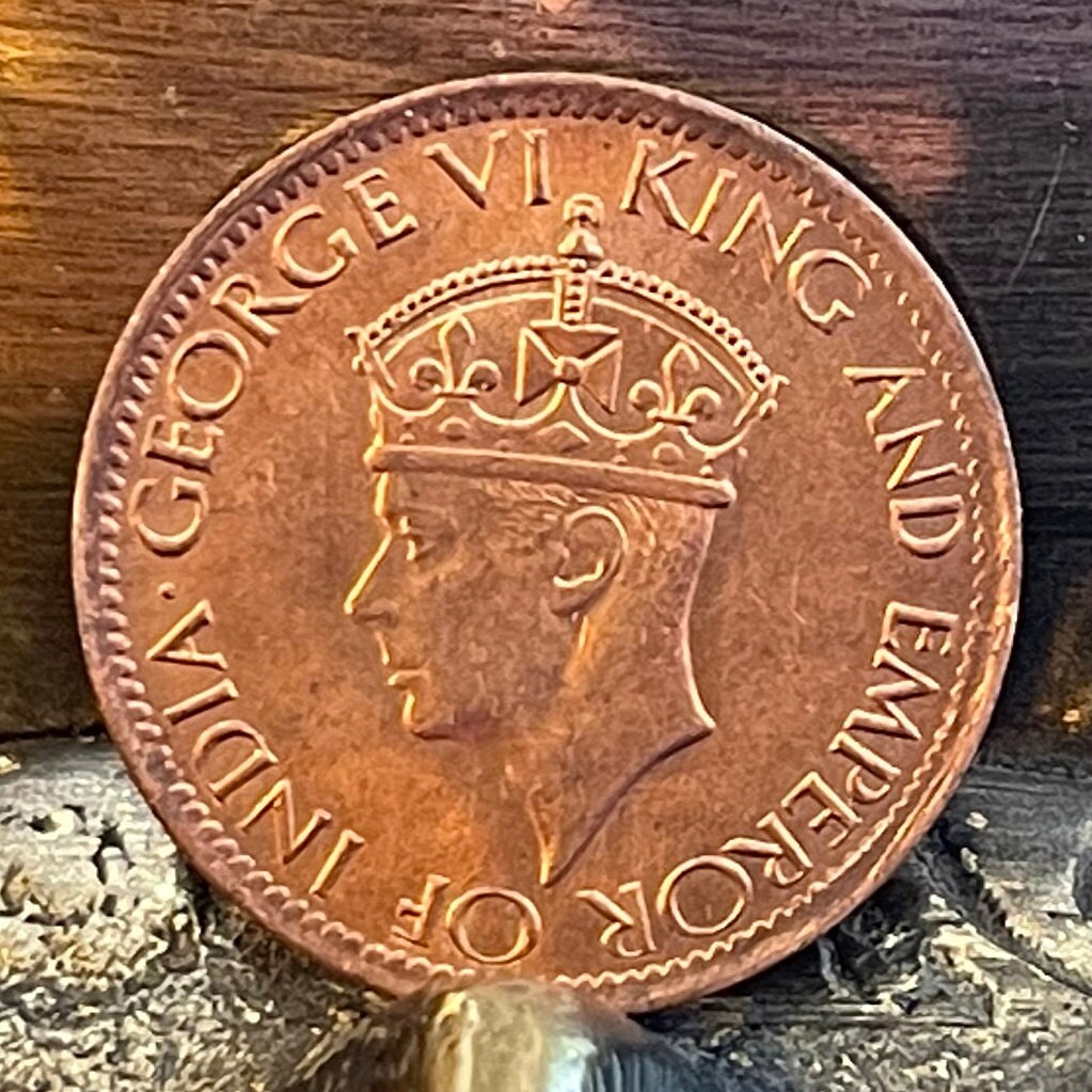 Cabbage Palm & King George VI 1 Cent Ceylon Authentic Coin Money for Jewelry and Craft Making (Sri Lanka) (Palmetto) (Emperor of India)