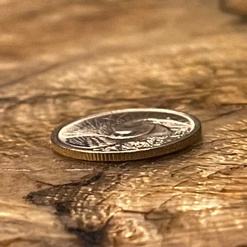 Snakebird Oriental Darter 5 Cents Singapore Authentic Coin Money for Jewelry and Craft Making