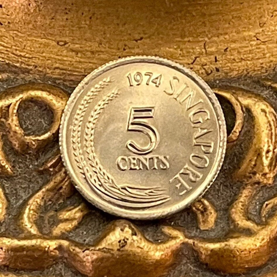 Snakebird Oriental Darter 5 Cents Singapore Authentic Coin Money for Jewelry and Craft Making