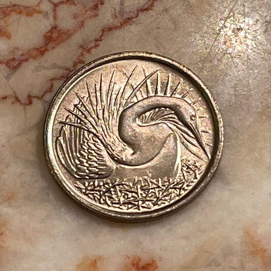 Snakebird Oriental Darter 5 Cents Singapore Authentic Coin Money for Jewelry and Craft Making