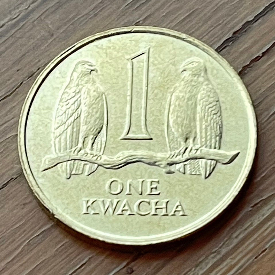 Taita Falcons 1 Kwacha Zambia Authentic Coin Money for Jewelry and Craft Making (1992)