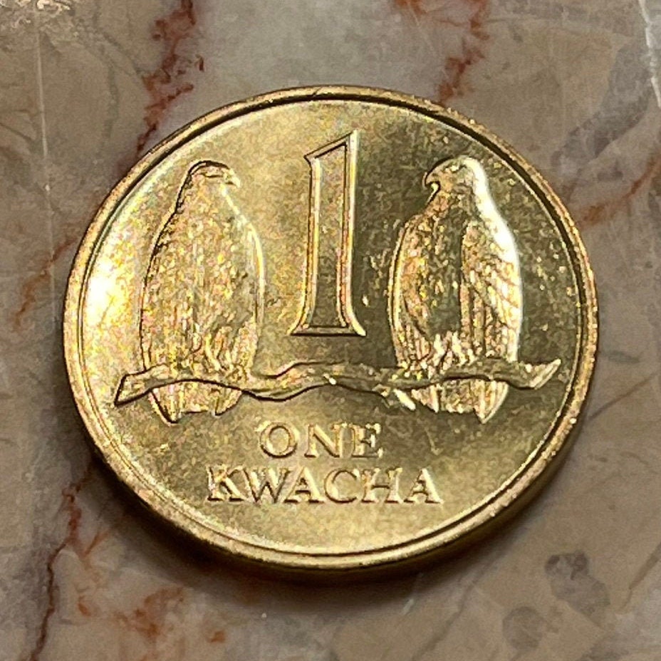 Taita Falcons 1 Kwacha Zambia Authentic Coin Money for Jewelry and Craft Making (1992)