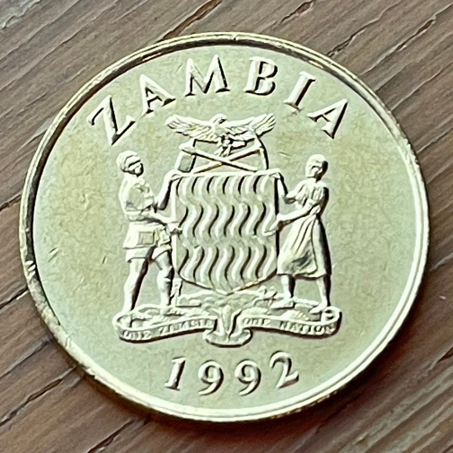Taita Falcons 1 Kwacha Zambia Authentic Coin Money for Jewelry and Craft Making (1992)