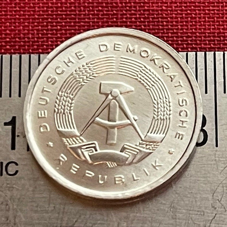 Hammer, Compass, Corn Wreath 5 Pfennig Communist East Germany Authentic Coin Money for Jewelry and Craft Making (German Democratic Republic)