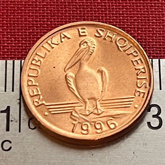 Dalmatian Pelican 1 Lek Albania Authentic Coin Money for Jewelry and Craft Making