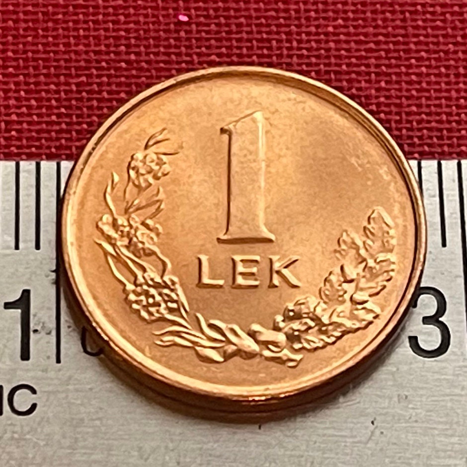 Dalmatian Pelican 1 Lek Albania Authentic Coin Money for Jewelry and Craft Making