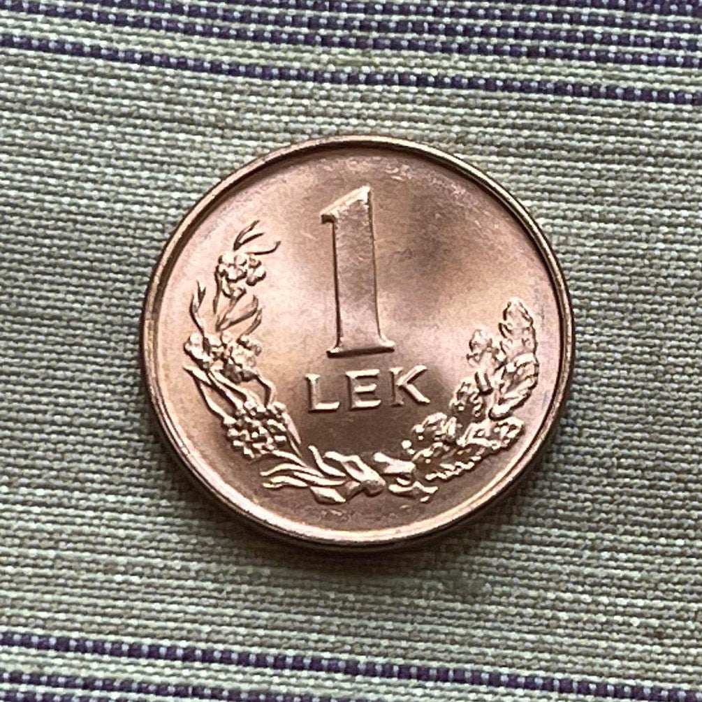Dalmatian Pelican 1 Lek Albania Authentic Coin Money for Jewelry and Craft Making