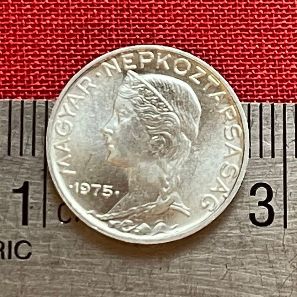Maiden with Párta Headdress 5 Filler Hungary Authentic Coin Money for Jewelry and Craft Making