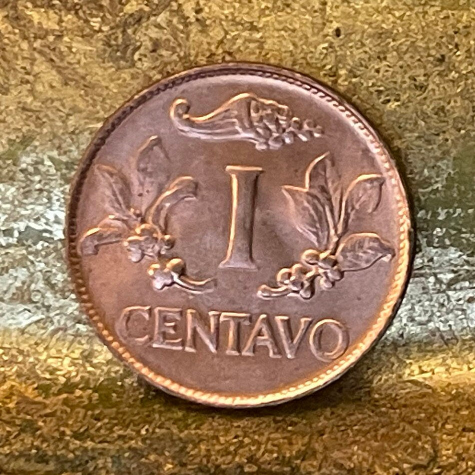 Coffee Beans & Liberty Cap 1 Centavo Columbia Authentic Coin Money for Jewelry and Craft Making (Cornucopia) (Coffee Plants)