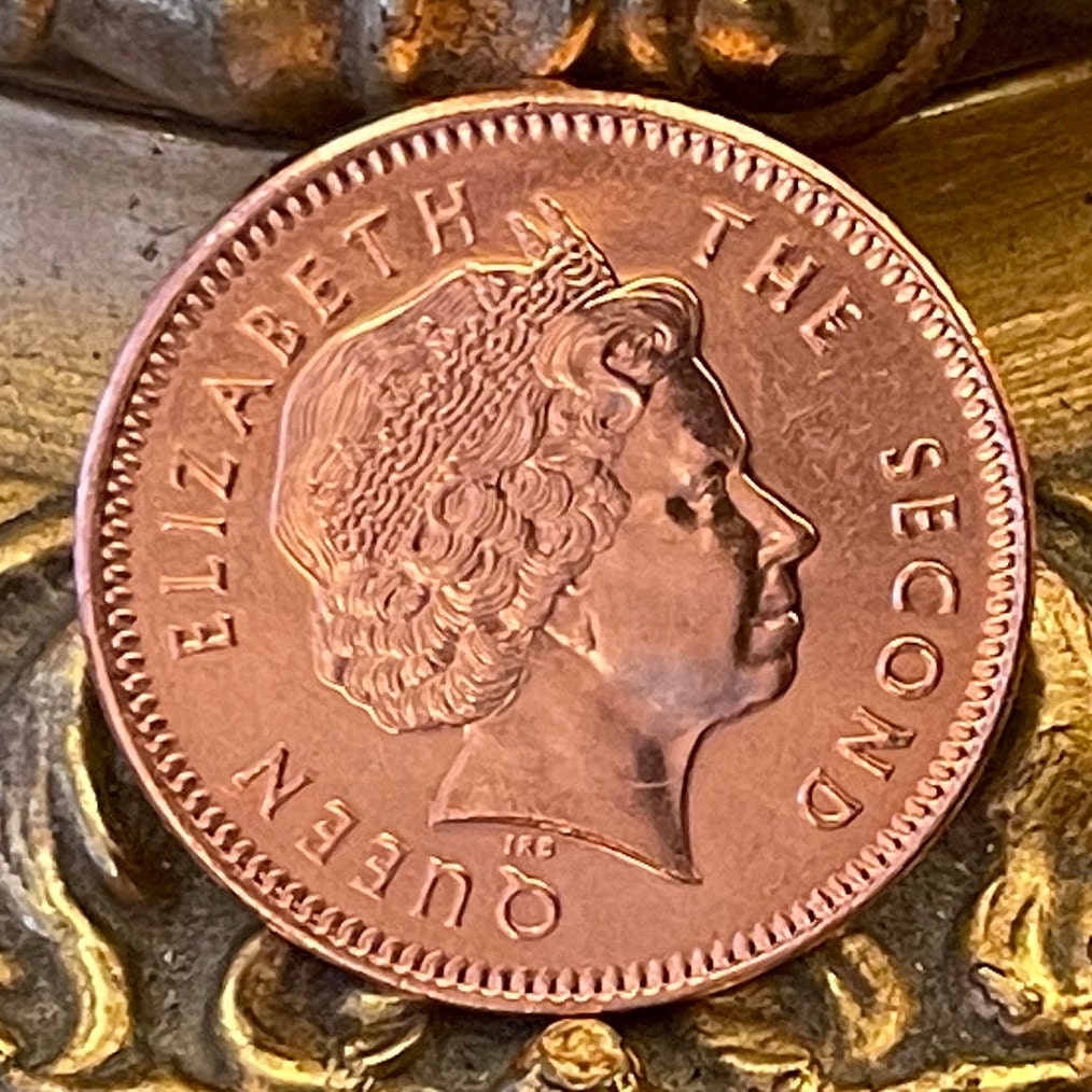 Greater Magellan Goose 2 Pence Falkland Islands Authentic Coin Money for Jewelry and Craft Making (Upland Goose)