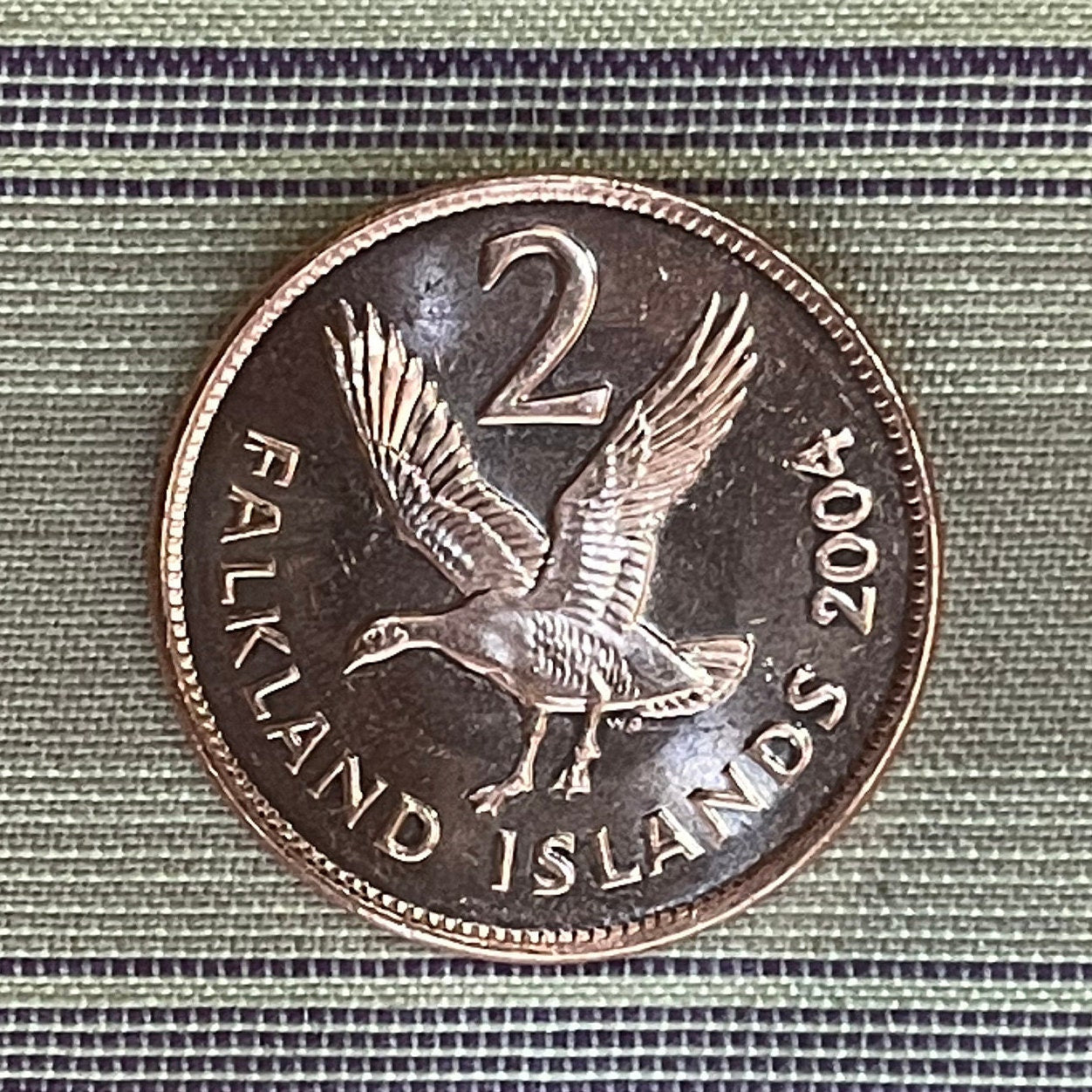 Greater Magellan Goose 2 Pence Falkland Islands Authentic Coin Money for Jewelry and Craft Making (Upland Goose)