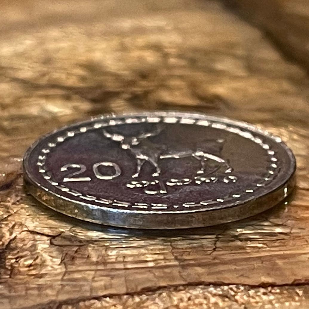 Red Deer & Borjgali 20 Tetri Georgia Authentic Coin Money for Jewelry and Craft Making (Tree of Life) (Niko Pirosmani Painting) (1993)