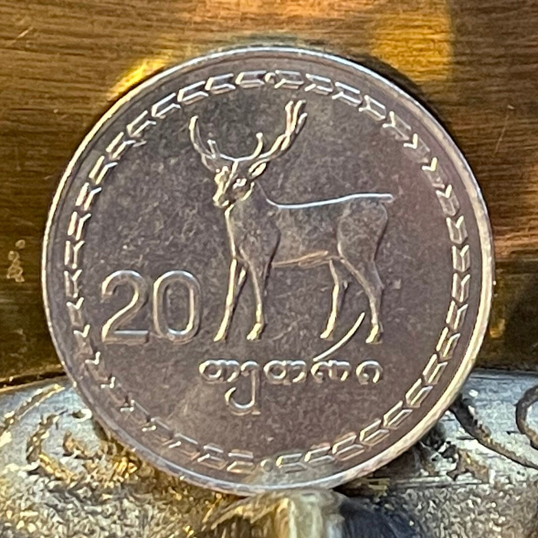 Red Deer & Borjgali 20 Tetri Georgia Authentic Coin Money for Jewelry and Craft Making (Tree of Life) (Niko Pirosmani Painting) (1993)