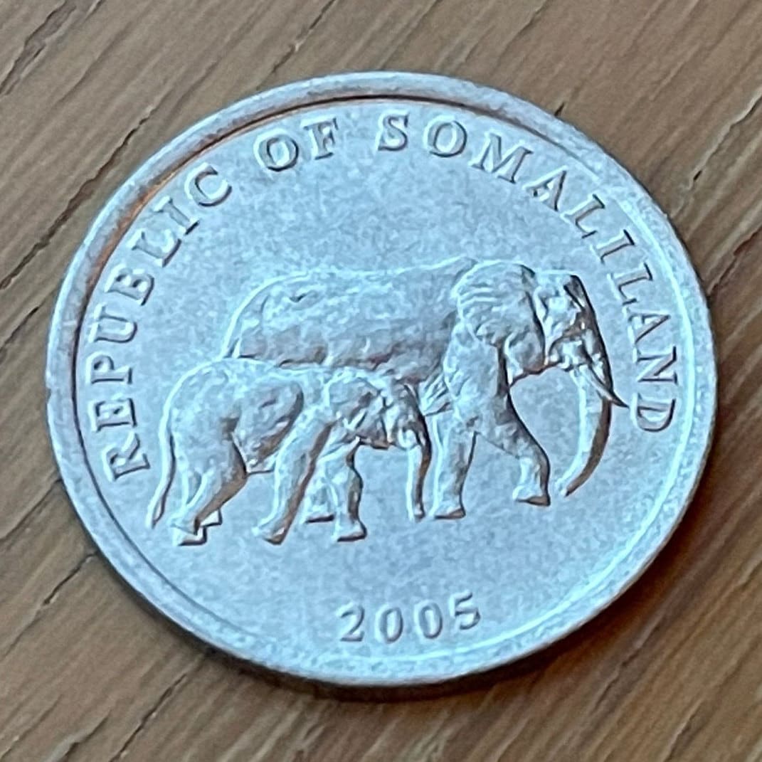 Elephant with Baby 5 Shillings Somaliland Authentic Coin Money for Jewelry and Craft Making