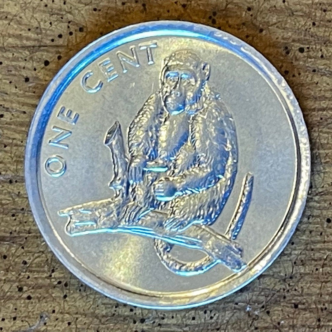 Rhesus Macaque 1 Cent Cook Islands Authentic Coin Money for Jewelry and Craft Making (Monkey)